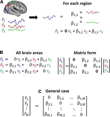 Use of connectotyping on task functional MRI data reveals dynamic network level cross talking during task performance